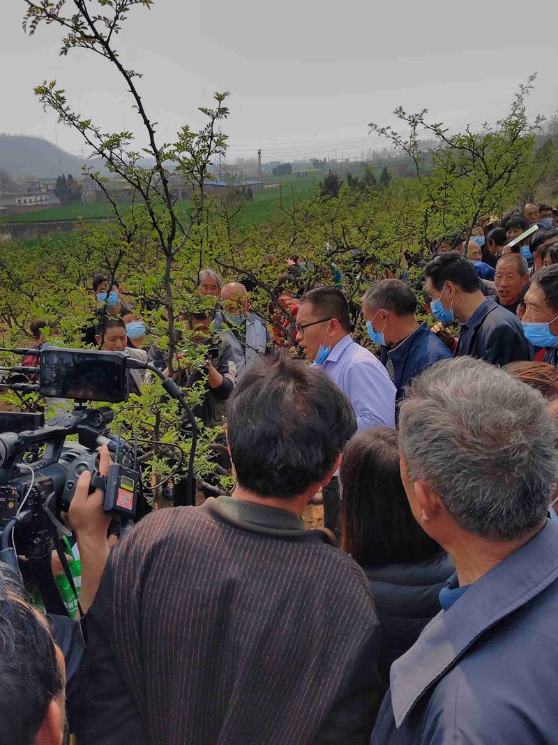 我公司（sī）參加澠池縣花椒春季管理與病蟲（chóng）害防治技術培訓會(圖2)